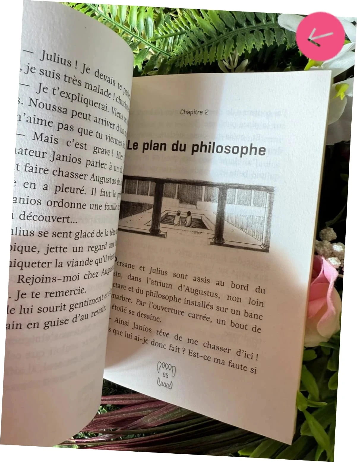 Livre pour le collège, le Lion de Julius – photo 3